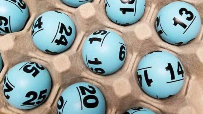 Khám Phá Thế Giới Đá Gà và Bóng Đá: Từ 88i Đến Livescore